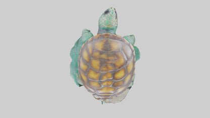 3D model Sea Turtle statue model VR / AR / low-poly