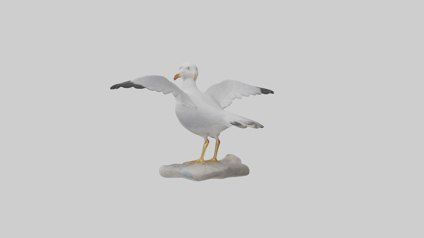 Seagull Figurine model VR / AR / low-poly
