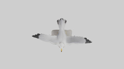 Seagull Figurine model VR / AR / low-poly