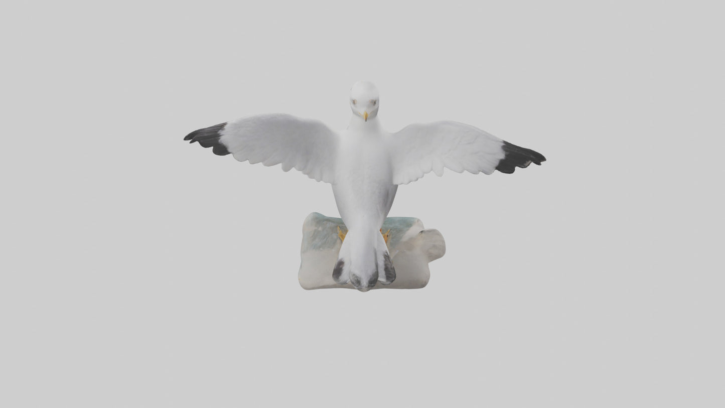 Seagull Figurine model VR / AR / low-poly