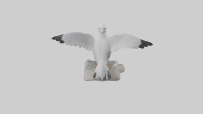 Seagull Figurine model VR / AR / low-poly