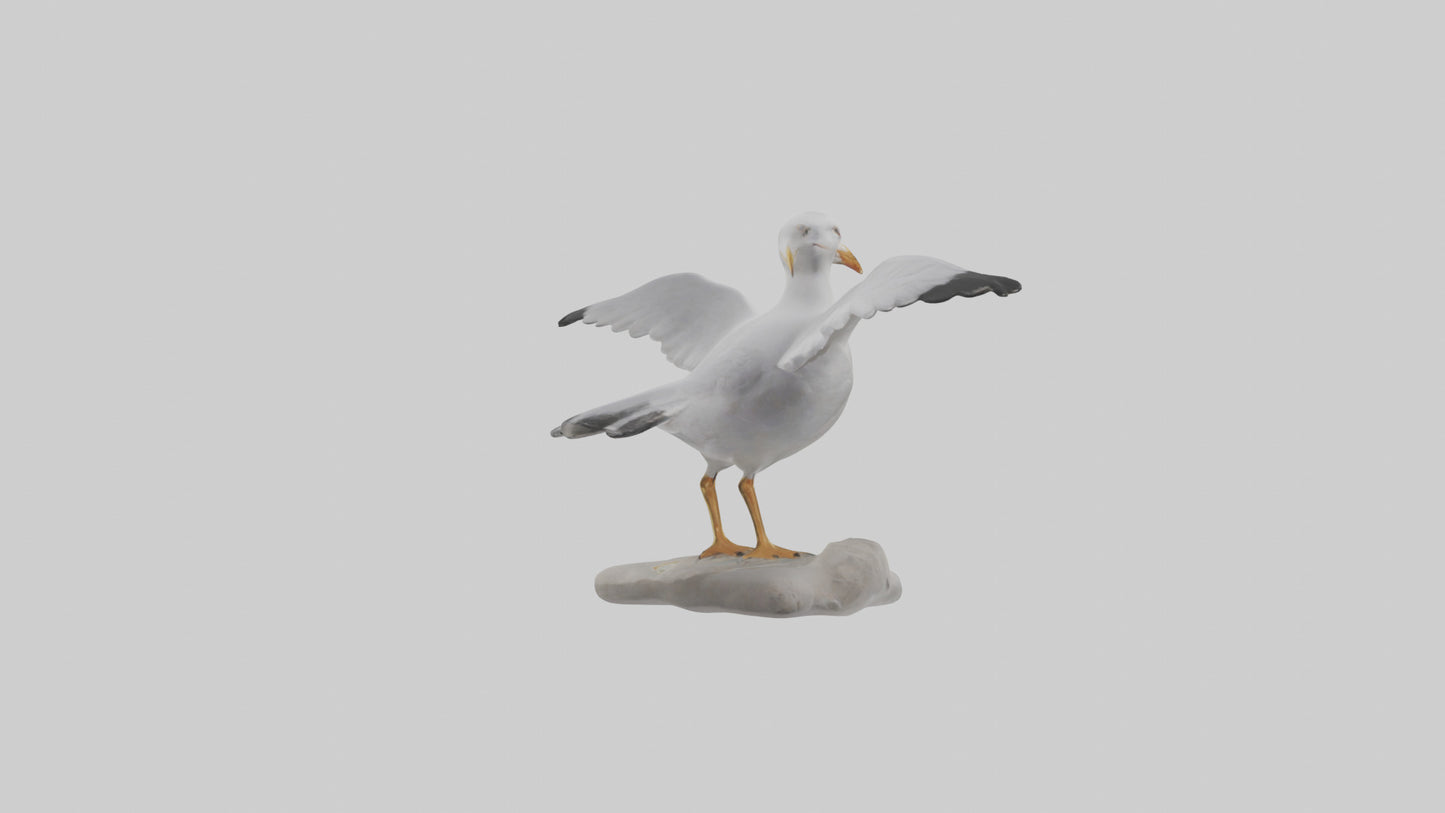 Seagull Figurine model VR / AR / low-poly