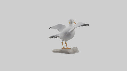 Seagull Figurine model VR / AR / low-poly