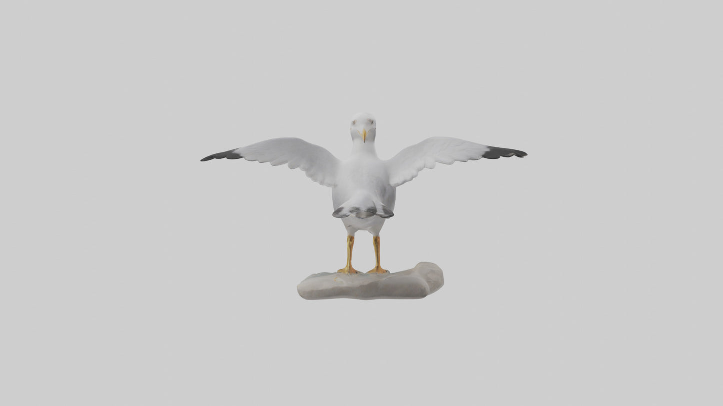 Seagull Figurine model VR / AR / low-poly