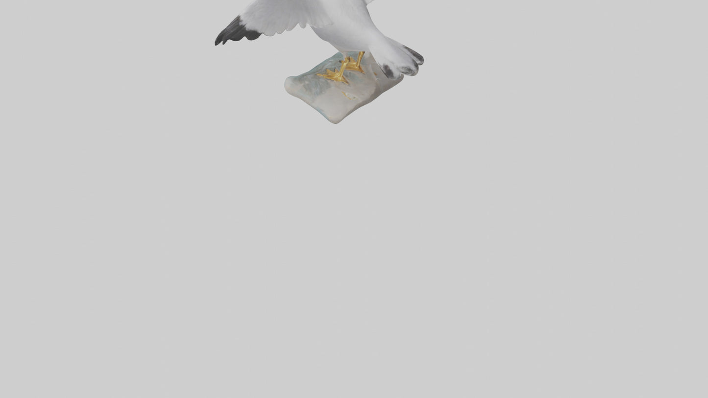 Seagull Figurine model VR / AR / low-poly
