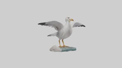 Seagull Figurine model VR / AR / low-poly