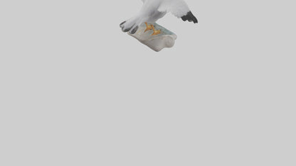 Seagull Figurine model VR / AR / low-poly