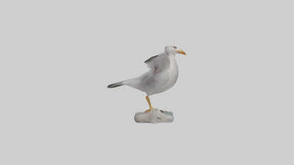 Seagull Figurine model VR / AR / low-poly