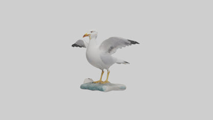 Seagull Figurine model VR / AR / low-poly