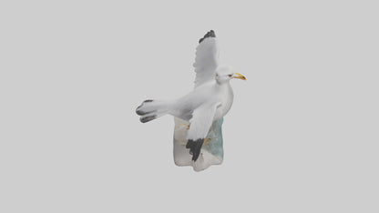 Seagull Figurine model VR / AR / low-poly