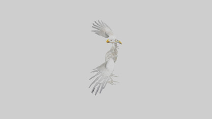 Seagull Skeleton model 3D model