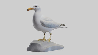 3D model Seagull statue model VR / AR / low-poly