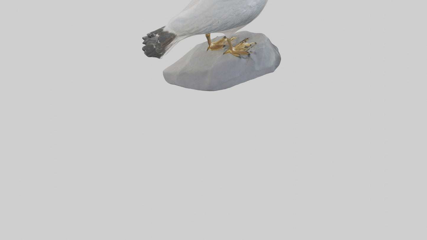 3D model Seagull statue model VR / AR / low-poly