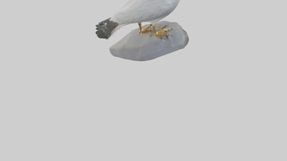 3D model Seagull statue model VR / AR / low-poly