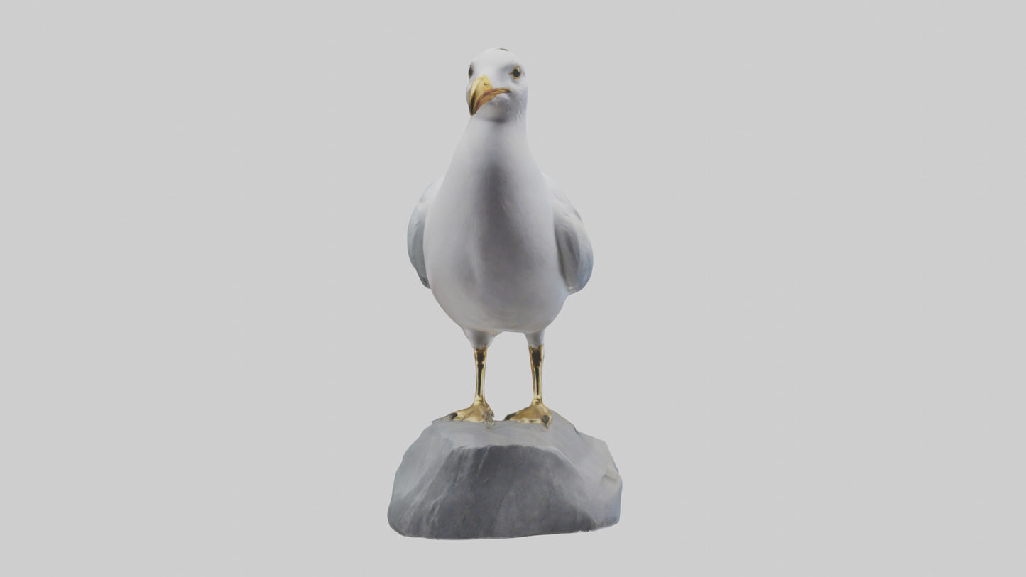 3D model Seagull statue model VR / AR / low-poly