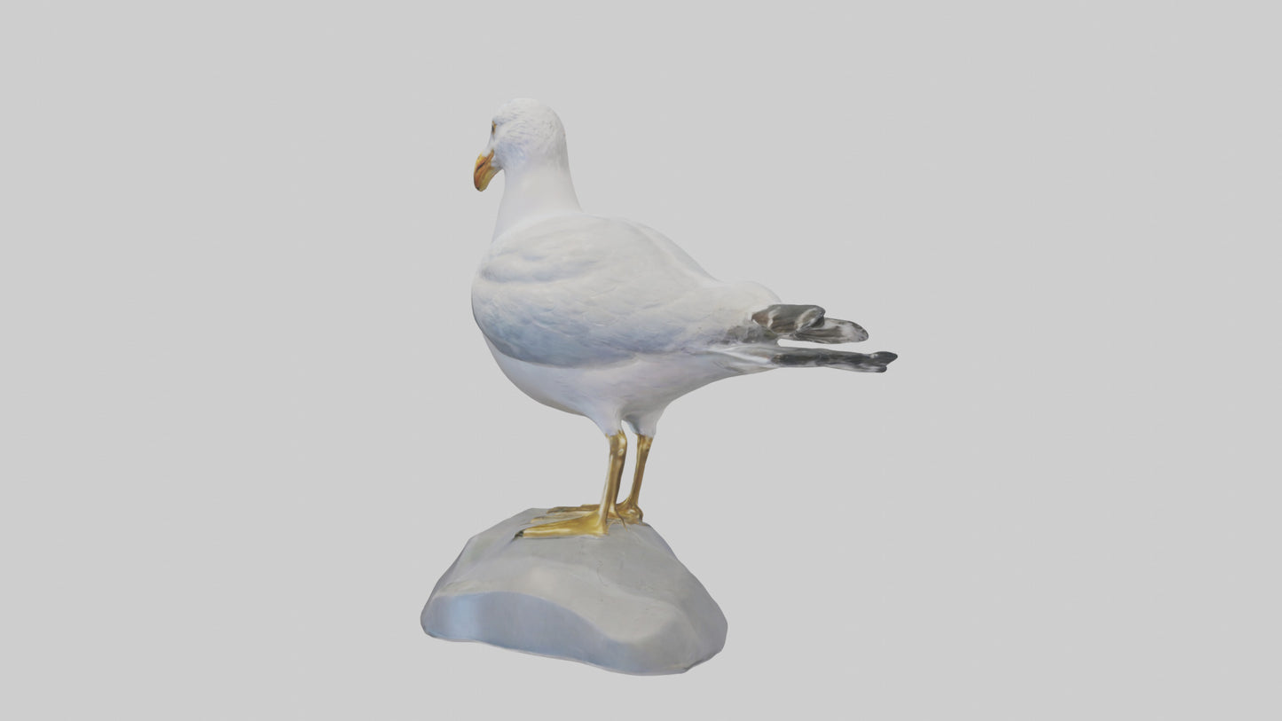 3D model Seagull statue model VR / AR / low-poly