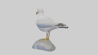 3D model Seagull statue model VR / AR / low-poly