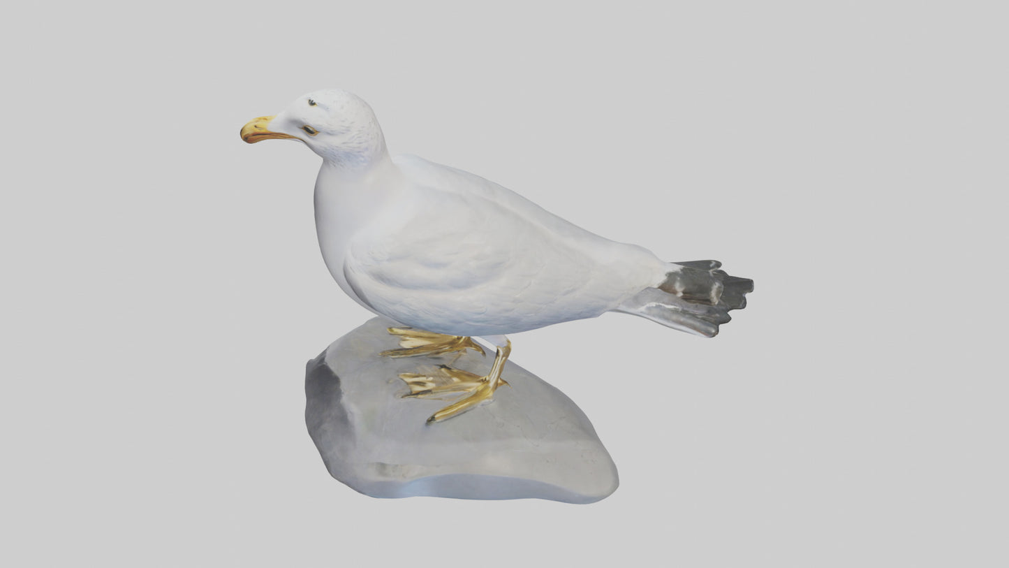 3D model Seagull statue model VR / AR / low-poly