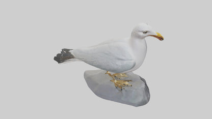 3D model Seagull statue model VR / AR / low-poly