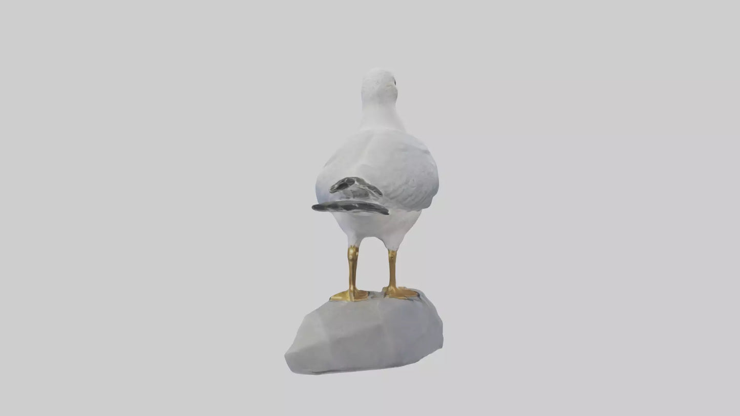 3D model Seagull statue model VR / AR / low-poly