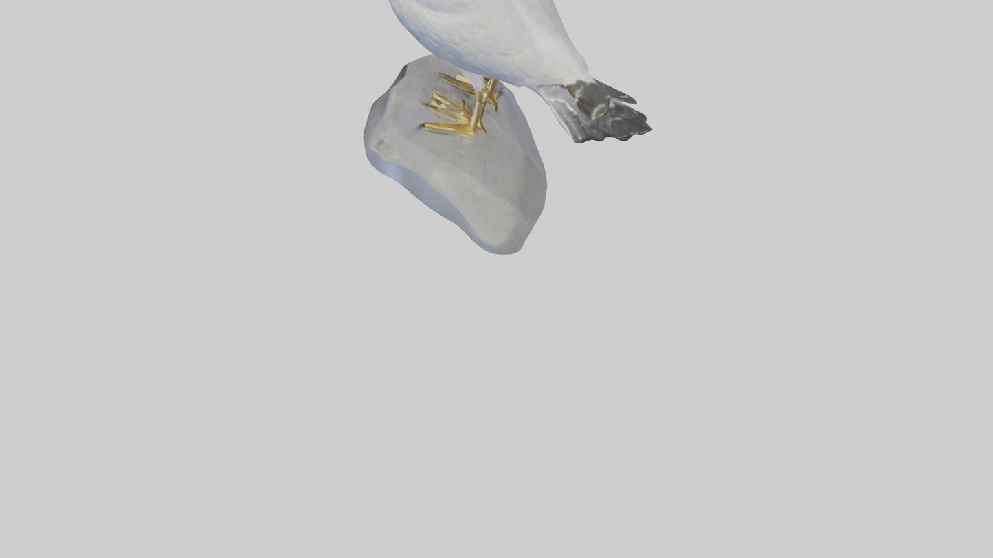 3D model Seagull statue model VR / AR / low-poly
