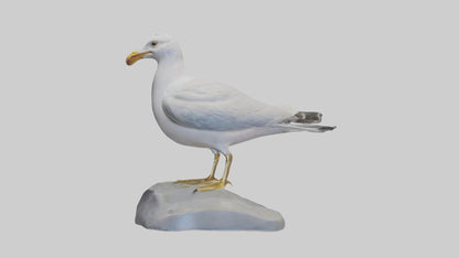 3D model Seagull statue model VR / AR / low-poly