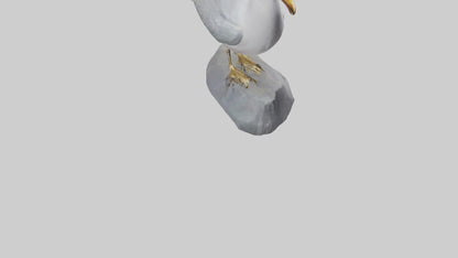 3D model Seagull statue model VR / AR / low-poly