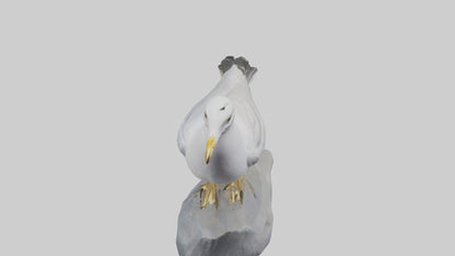 3D model Seagull statue model VR / AR / low-poly
