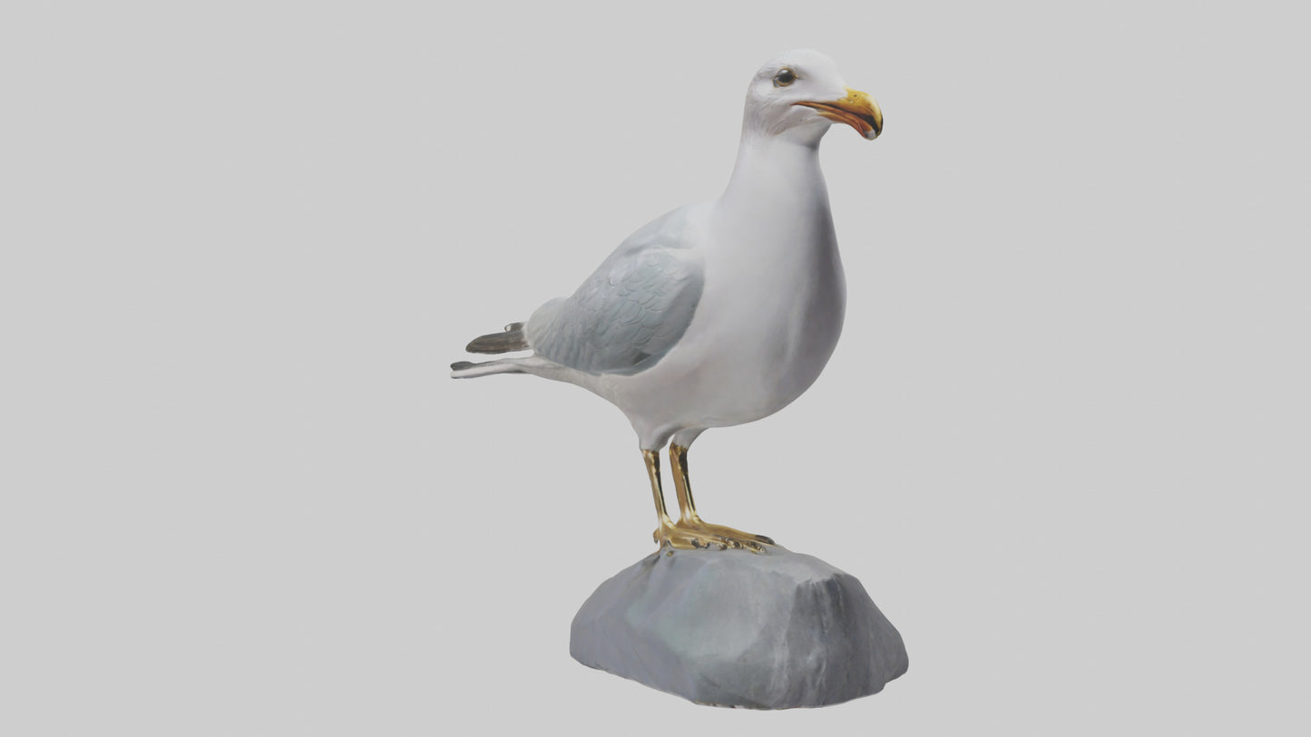 3D model Seagull statue model VR / AR / low-poly