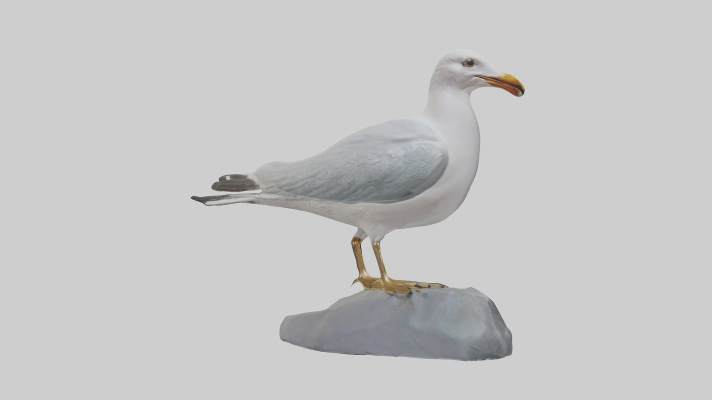 3D model Seagull statue model VR / AR / low-poly