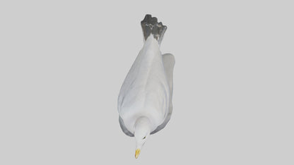 3D model Seagull statue model VR / AR / low-poly