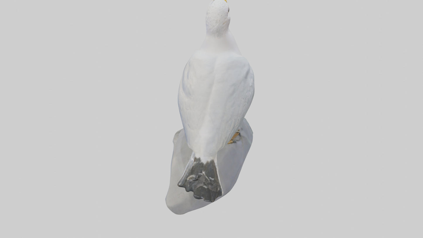 3D model Seagull statue model VR / AR / low-poly