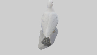 3D model Seagull statue model VR / AR / low-poly