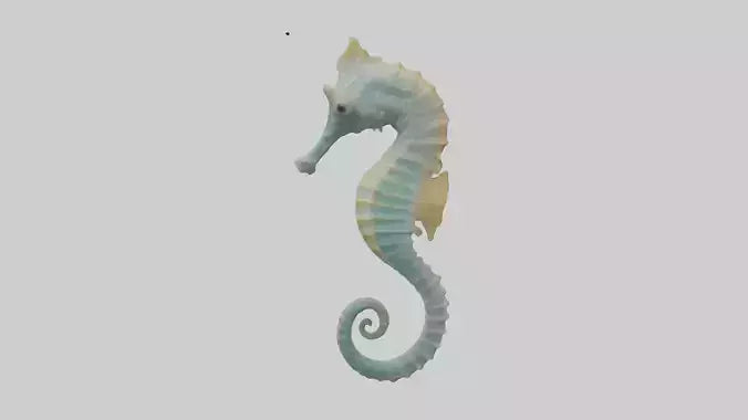 Seahorse Body 3D model