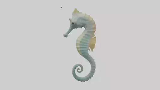 Seahorse Body 3D model