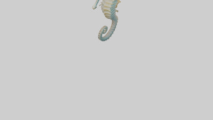 Seahorse Body 3D model