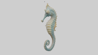 Seahorse Body 3D model