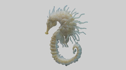 Seahorse Brain 3D model