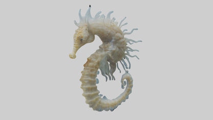 Seahorse Brain 3D model