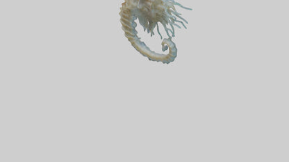 Seahorse Brain 3D model