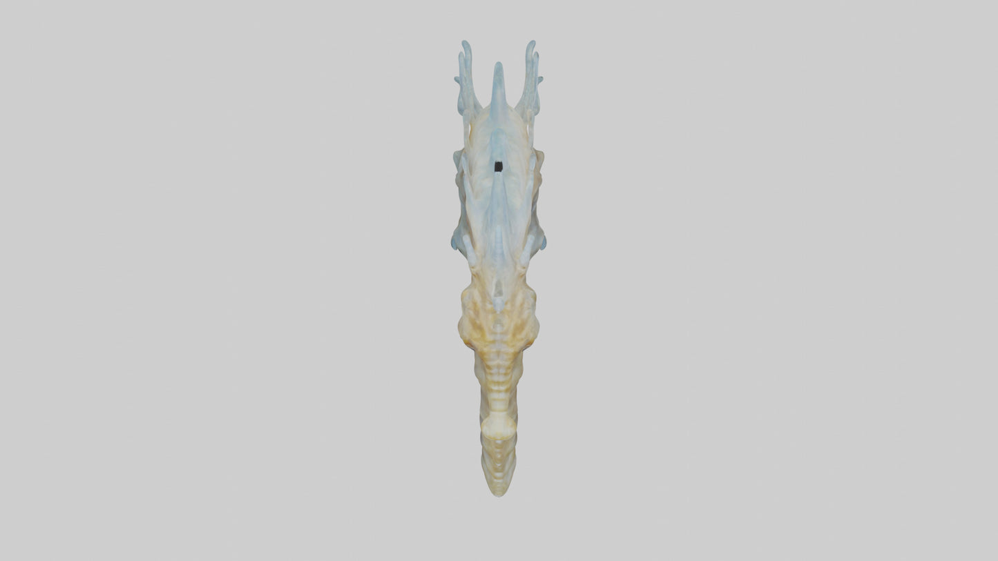 Seahorse Brain 3D model