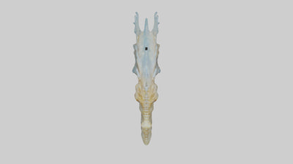 Seahorse Brain 3D model
