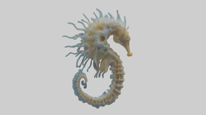 Seahorse Brain 3D model