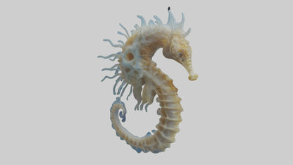 Seahorse Brain 3D model