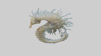 Seahorse Brain 3D model