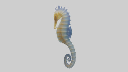 3D model Seahorse Fin VR / AR / low-poly