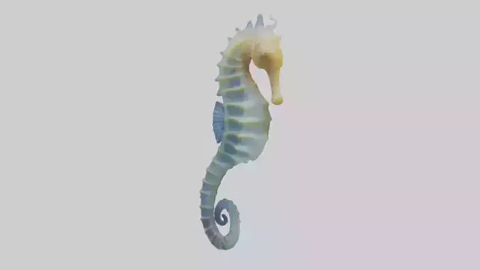 3D model Seahorse Fin VR / AR / low-poly