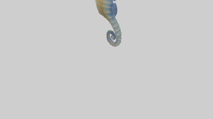 3D model Seahorse Fin VR / AR / low-poly