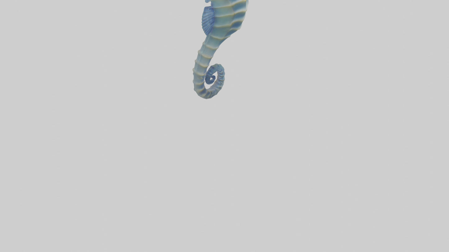 3D model Seahorse Fin VR / AR / low-poly