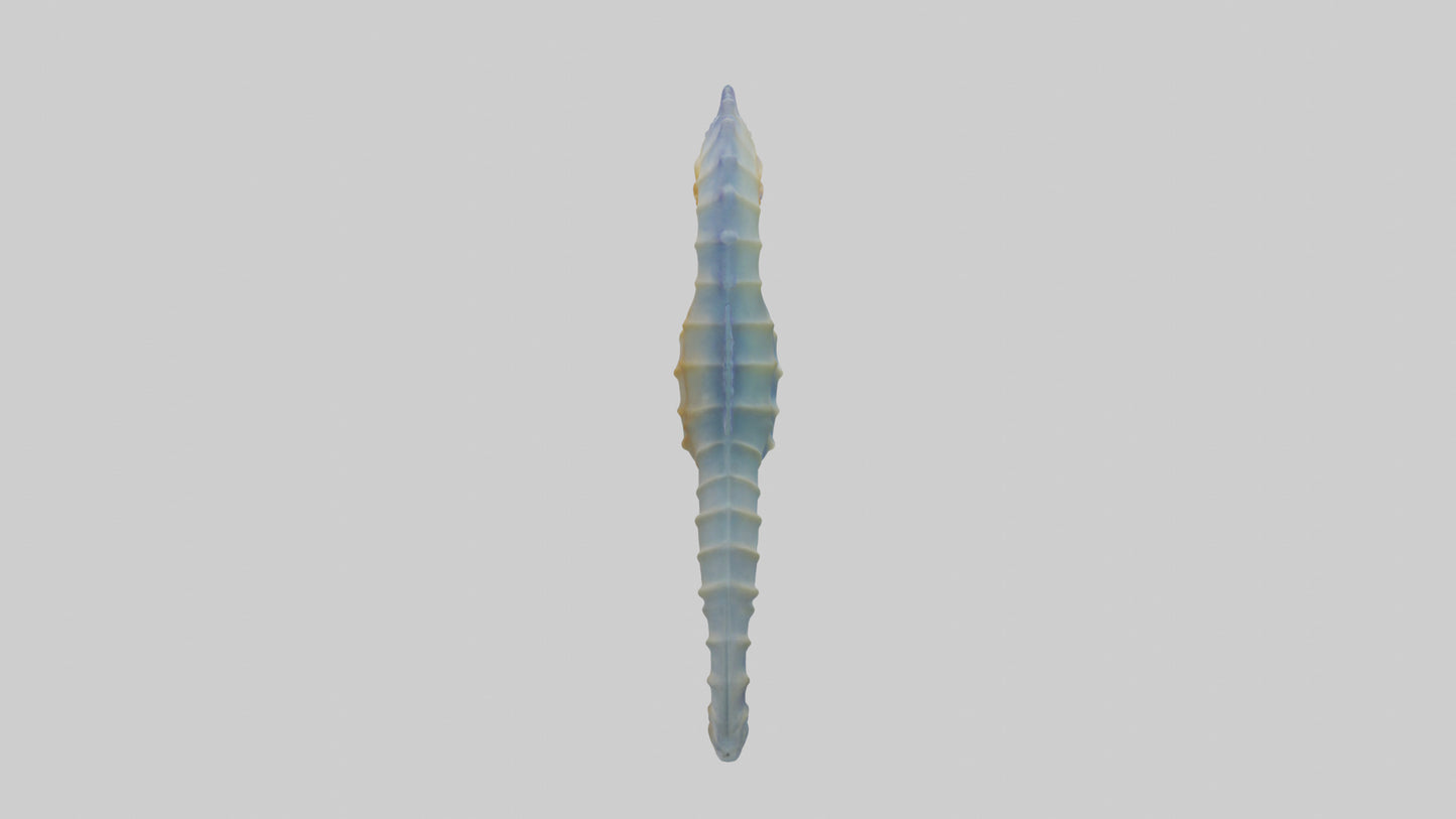 3D model Seahorse Fin VR / AR / low-poly